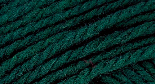 A close-up photo of a green sample of Nature Spun yarn