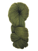 Brown Sheep Prairie Spun DK wool yarn color Mountian Olive