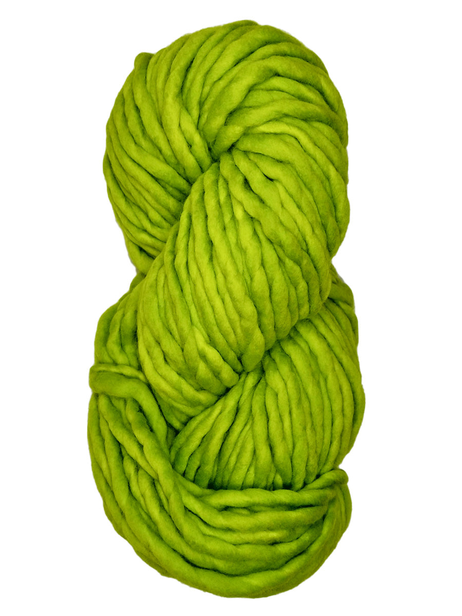 A green skein of Malabrigo Rasta yarn