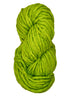 A green skein of Malabrigo Rasta yarn