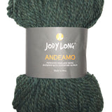  Skein of Jody Long Andeamo Yarn - 021 Forest