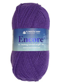 Photo of a purple skein of Encore Plymouth Yarn
