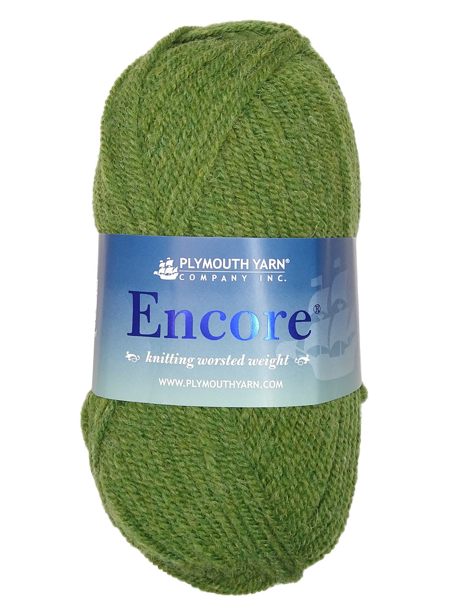 Photo of a green skein of Encore Plymouth Yarn