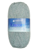 Photo of a light green skein of Encore Plymouth Yarn