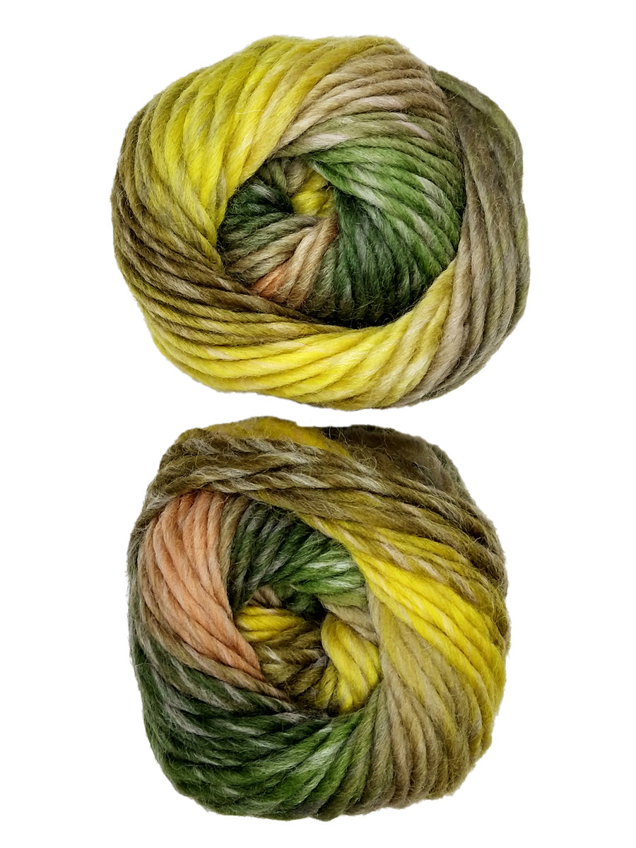 A photo of two pink, green, and gray skeins of Plymouth Gina Chunky