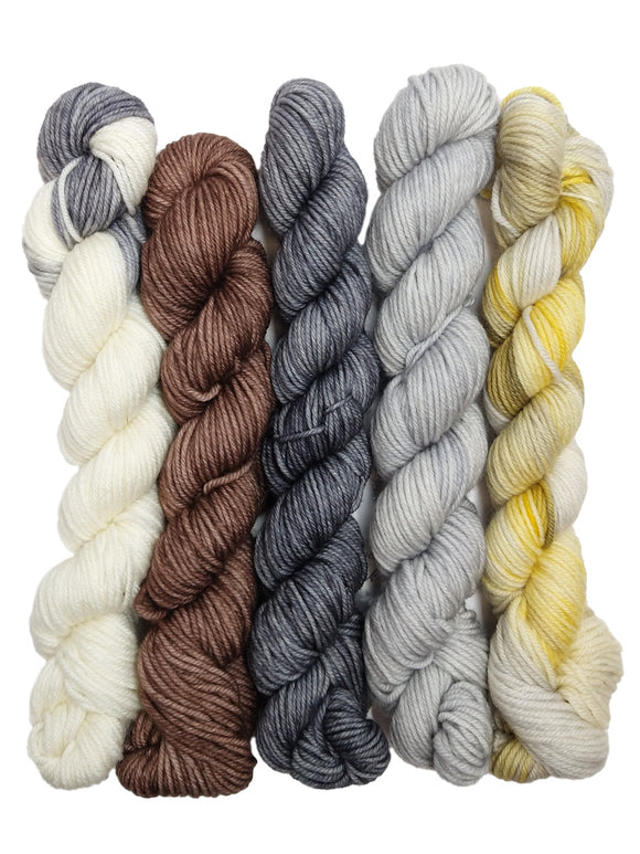 Photo of five mini hanks of yarn inspired by Lolly. From left to right, he colors are:
-White with streaks of light gray
-Warm mid-toned brown
-Variegated gray
-Light gray
-Striped off-white and variegated yellow