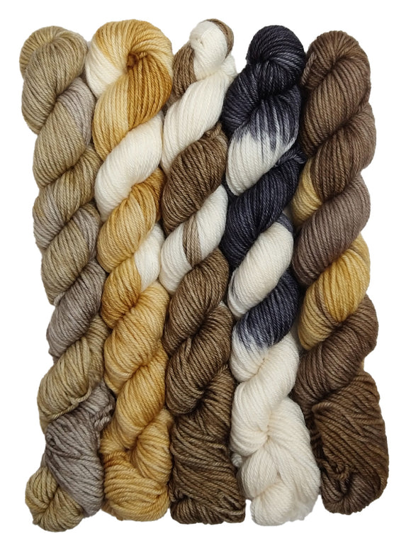 Photo of five mini hanks of yarn inspired by Puppers. From left to right, the colors are:
-Variegated light tan
-Variegated light yellow with white streaks
-Warm brown with white streaks
-Black with streaks of white
-Warm brown with streaks of light yellow