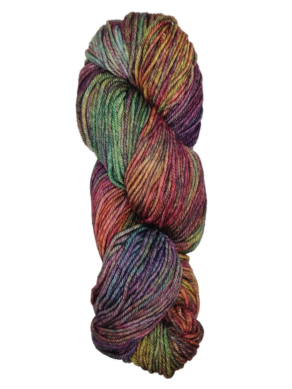 A colorful skein of Malabrigo Rios yarn