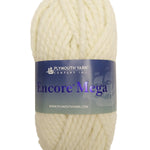 An off-white skein of Plymouth Encore Mega yarn