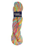 A colorful skein of Plymouth Fantasy Naturale yarn