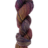 A colorful skein of Malabrigo Rios yarn