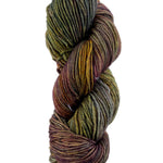 A colorful skein of Malabrigo Rios yarn