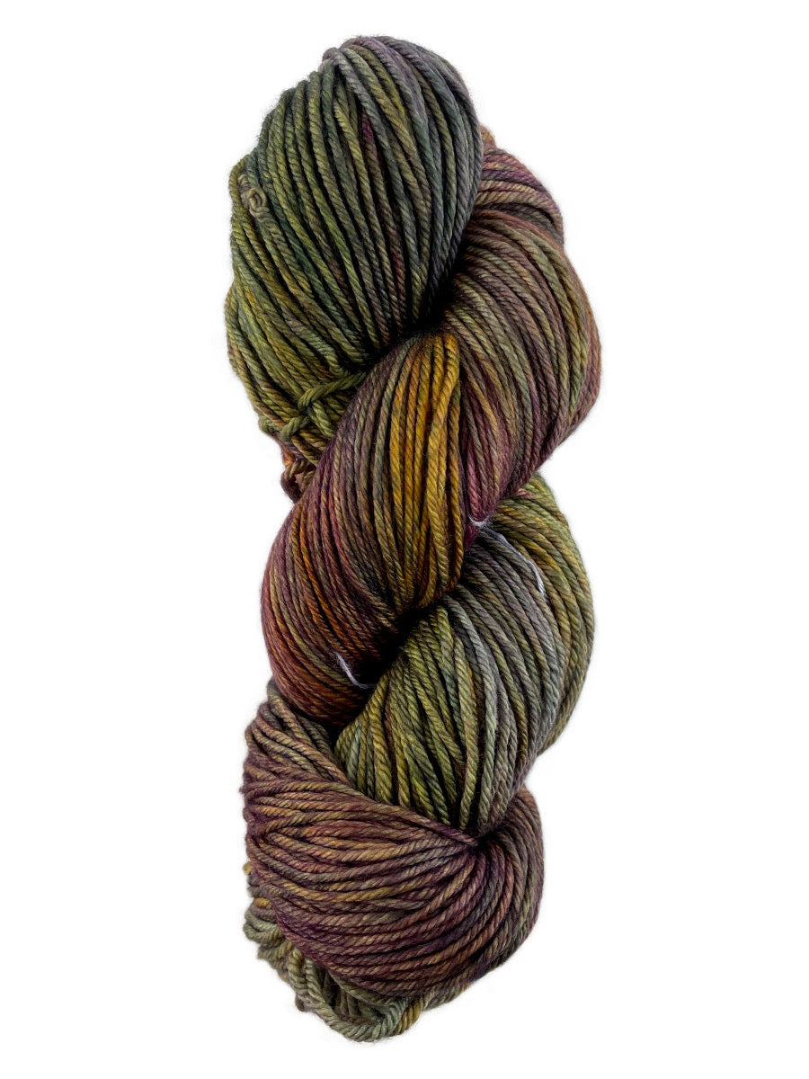 A colorful skein of Malabrigo Rios yarn