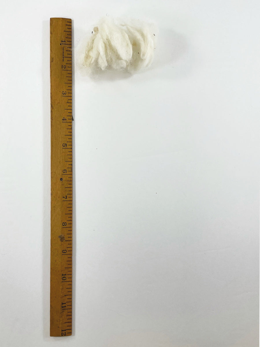 Kent Romney Scoured Fleece