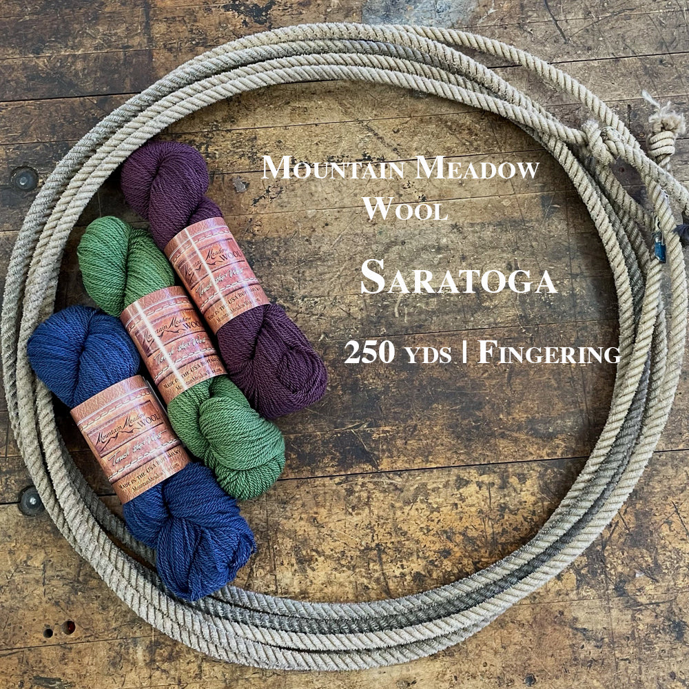 Three colorful hanks of the Mountain Meadow Wool Saratoga yarn collection in a lasso laying on a wooden surface.