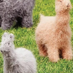 Felted llamas and alpacas