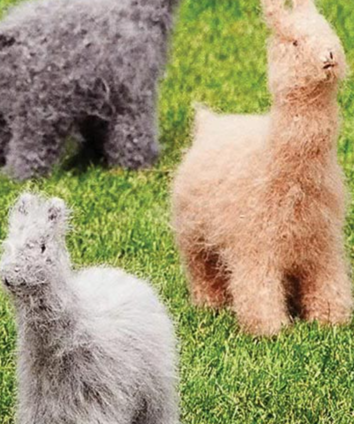 Felted llamas and alpacas