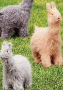 Felted llamas and alpacas