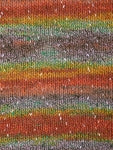 Berroco Sesame yarn color 7451