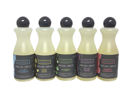 Eucalan Gift Pack 5 Bottle Set