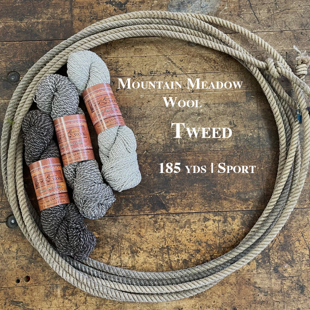 Three hanks of the Mountain Meadow Wool Tweed collection inside a lasso on a wooden backdrop