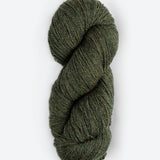 Skein of Blue Sky Fibers Woolstok yarn in the color forest green
