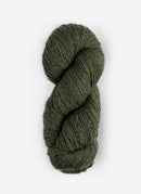 Skein of Blue Sky Fibers Woolstok yarn in the color forest green