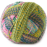 Schoppel Wolle Crazy Zauberball yarn color blue, red, and tan, yellow, and green