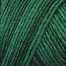 Brown Sheep Co. Lamb's Pride Yarn color green