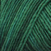 Brown Sheep Co. Lamb's Pride Yarn color green