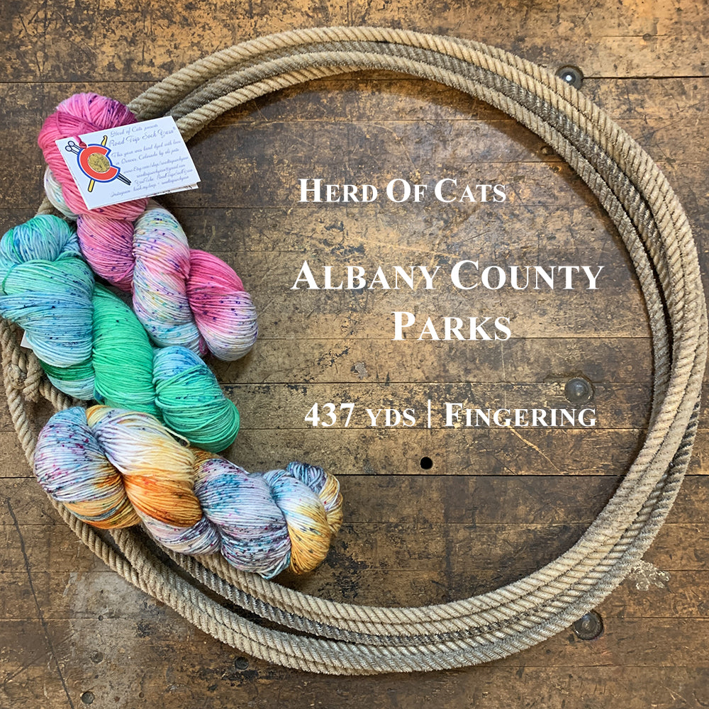 A photo of three colorful hanks of Albany County Parks yarn in a lasso on a wooden surface
