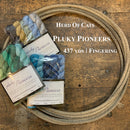 A photo of sets of mini hanks of Road Trip Sock Yarn  yarn in a lasso on a wooden surface