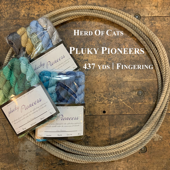 A photo of sets of mini hanks of Road Trip Sock Yarn  yarn in a lasso on a wooden surface