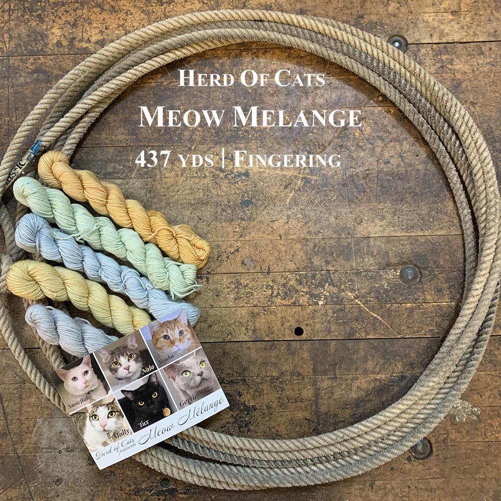 A photo of the Meow Melange Eye Inspiration Mini hanks of yarn in a lasso on a wooden surface
